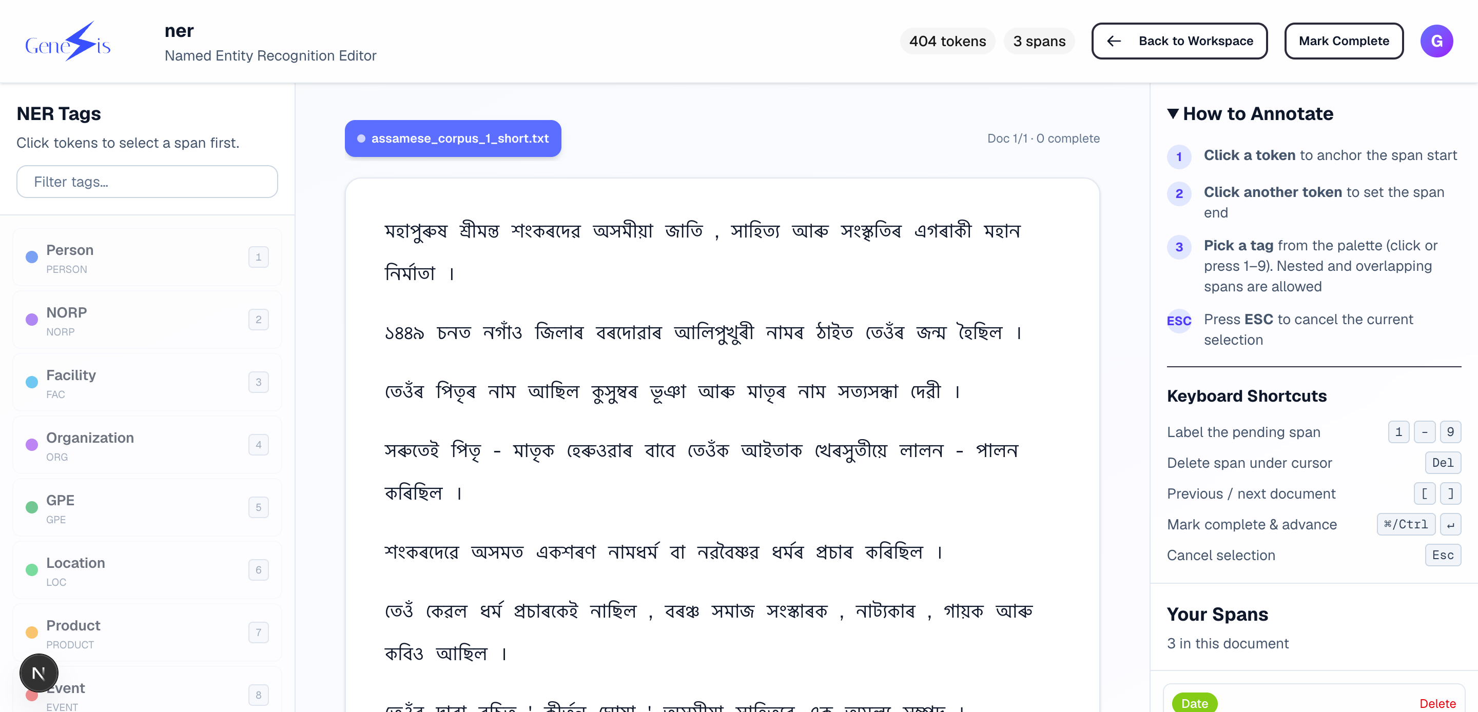 NER editor